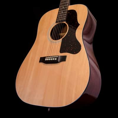 Aria Pro II PW25 Acoustic Dreadnought image 1