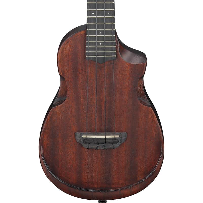 Ibanez AUC14OVL Concert Ukulele, Open Pore Violin Sunburst image 1