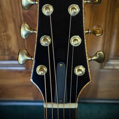 2007 R. Taylor Style 1 Swiss Alpine Spruce/ Beautiful Straight Grain Cocobolo/ Flame Koa Binding image 12