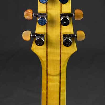 Kauer P.A. Bigsby Super Chief image 24