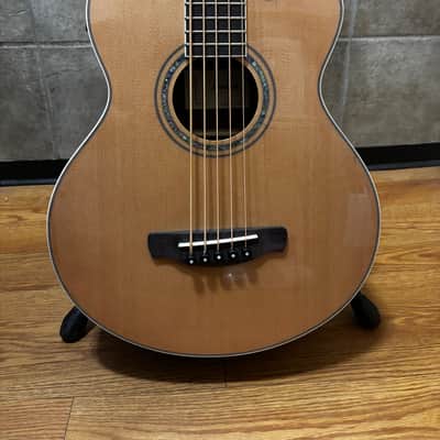 Ibanez AEB105ENT image 3