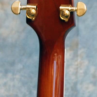 Heritage H-555 30th Anniversary Awesome #15 of Limited Edition Retail $5150 image 8