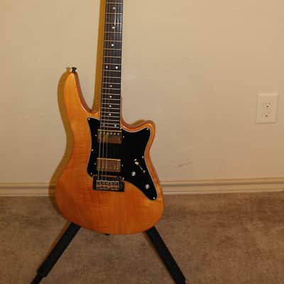 Godin G4000 image 1