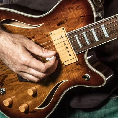 Michael Kelly Hybrid Special, Spalted Maple Burst Top, Chambered Mahogany Body image 10