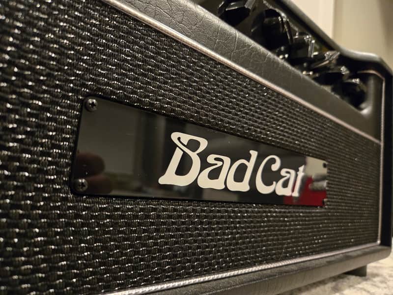 Bad Cat Hot Cat 45 image 1