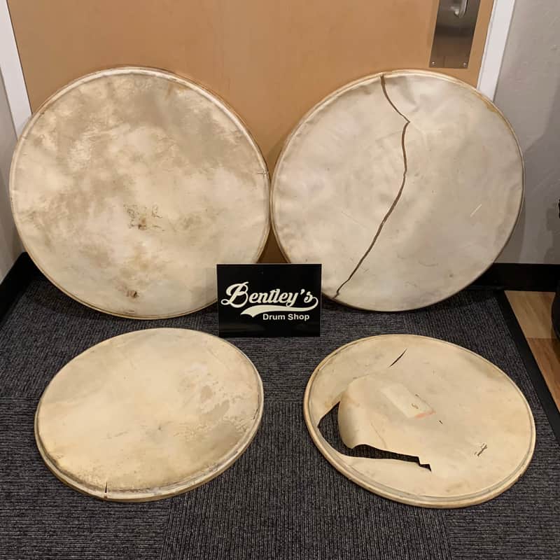 Set of 4 - Vintage Slingerland 22" & 28" Calfskin Bass Drum Heads (Rm3) image 1
