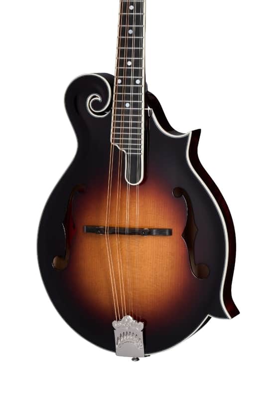 Epiphone Epiphone F-5G Bluegrass Guitar