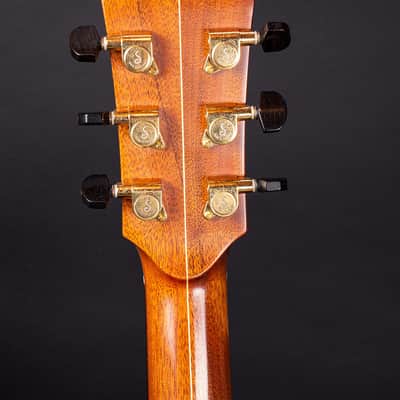 Avalon Pioneer L2-30C Custom with LR Baggs pickup 2019 *Rare one off build* image 14