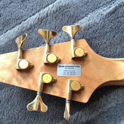 Alembic Roque 5 image 9