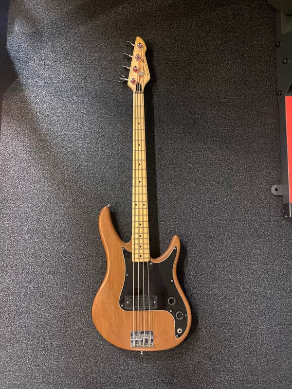 Peavey Patriot Bass, 80’s w/case -  nicest one you’ll find - made in USA image 1