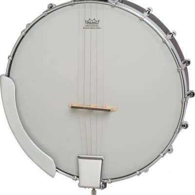 Epiphone MB100 BANJO image 2