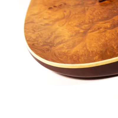 Hamburguitar Tele Style Guitar Owned by Mike Campbell image 9