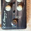 LR Baggs Align Delay