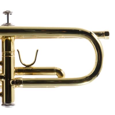 Bach Model VBS2 Professional Bb Trumpet (Export Model) BRAND NEW image 10