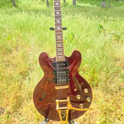Epiphone Riviera Custom P93 Wine Red, Tone Pros roller Bridge brand new, Kluson Vintage locking tuners brand new! Beautiful custom gig bag brand new. image 15