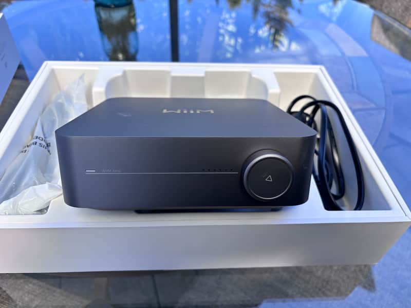 Wiim Amp 2024 - Gray