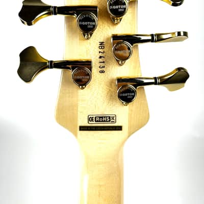 Spector Euro CST 5st. 2026 - Gloss Natural image 6