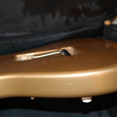 2019 USA PRS Silver Sky - Golden Mesa - No Tariffs image 14