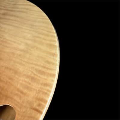 Harley Benton Aeolus Semi Hollow Electric Guitar in Frost Flame image 10