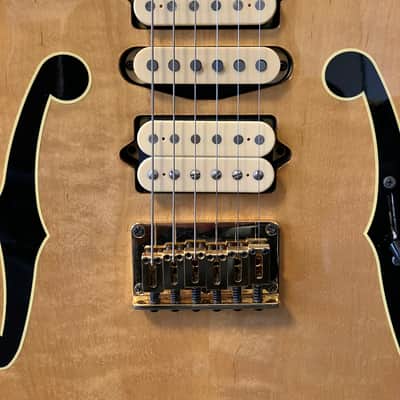Ibanez PGM10TH Paul Gilbert 10th Anniversary Limited Edition w/ Original Strap, Tags & Paperwork image 9