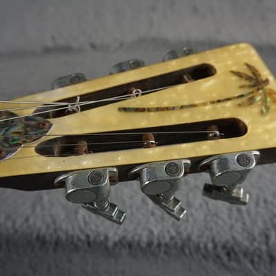 Gill Tone Resonator Japan Rare w/ Original Hard Case image 8