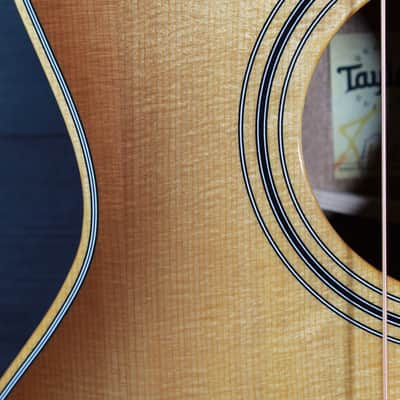 Taylor 314ce Studio SEB Sapele / Torrified Spruce Acoustic-Electric Guitar image 17