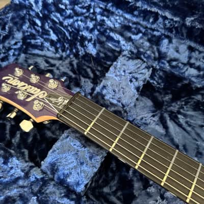 Jackson USA Series Rob Caggiano Signature Shadowcaster 2020 - Present - Trans Purple Fade image 5