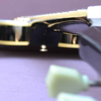 ナポリの6Epiphone custom shop製ES-335 PRO Epiphone ES-335 Pro Limited Edition Custom Shop Semi-hollow