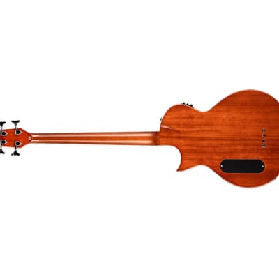 ESP LTD TL-4 Acoustic-Electric Bass Guitar - Natural image 5