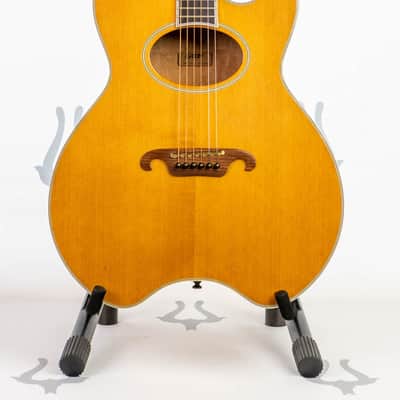 Daion The Year Series '81 Caribou - Tinted Tan (TAN) - Electric Acoustic Six String image 1