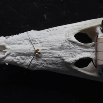 Cigarbox guitar 3 string crocodile skull guitar image 8
