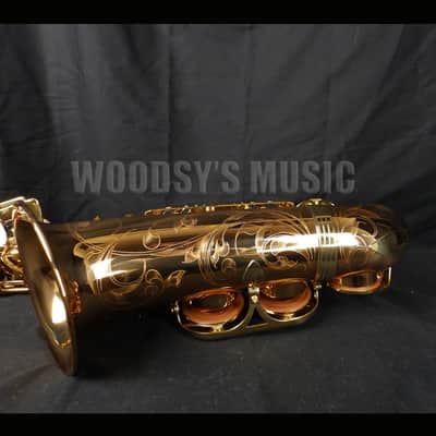 Yanagisawa AWO20 Elite Model Bronze Alto Saxophone image 3