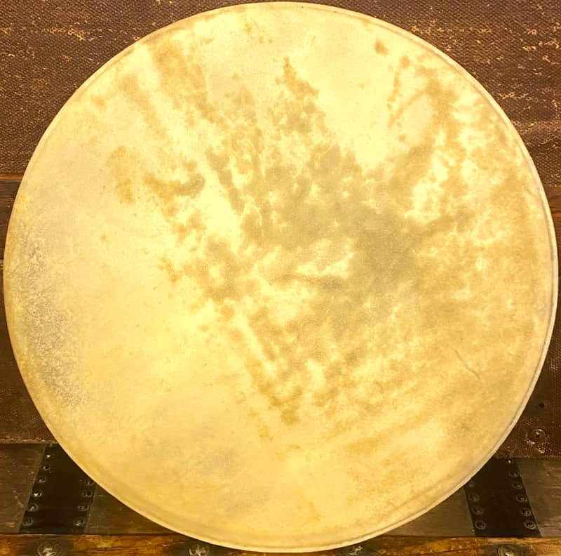 Vintage 12” Calfskin Drum Head - Good Condition - We Ship Fast! image 1