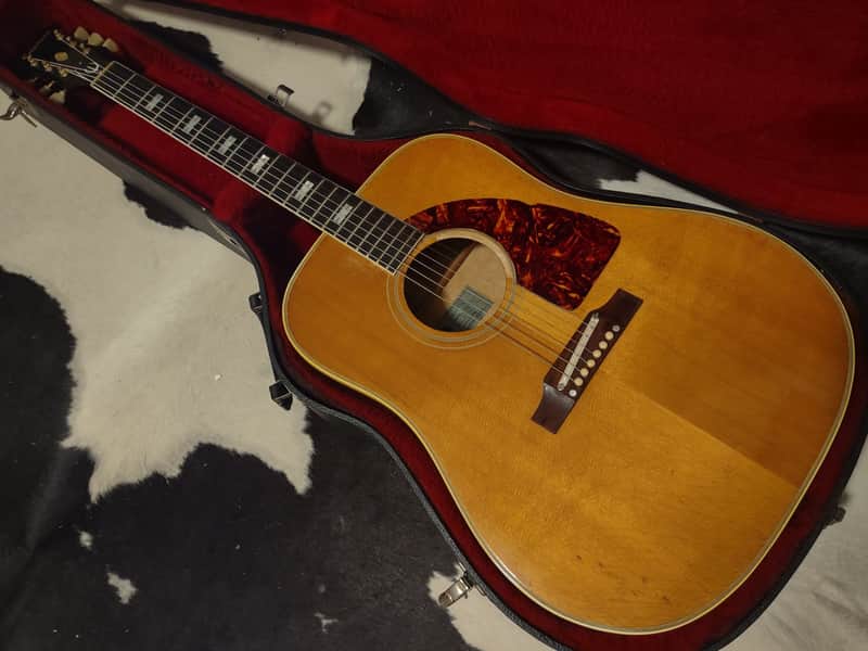 Epiphone FT-110 Frontier