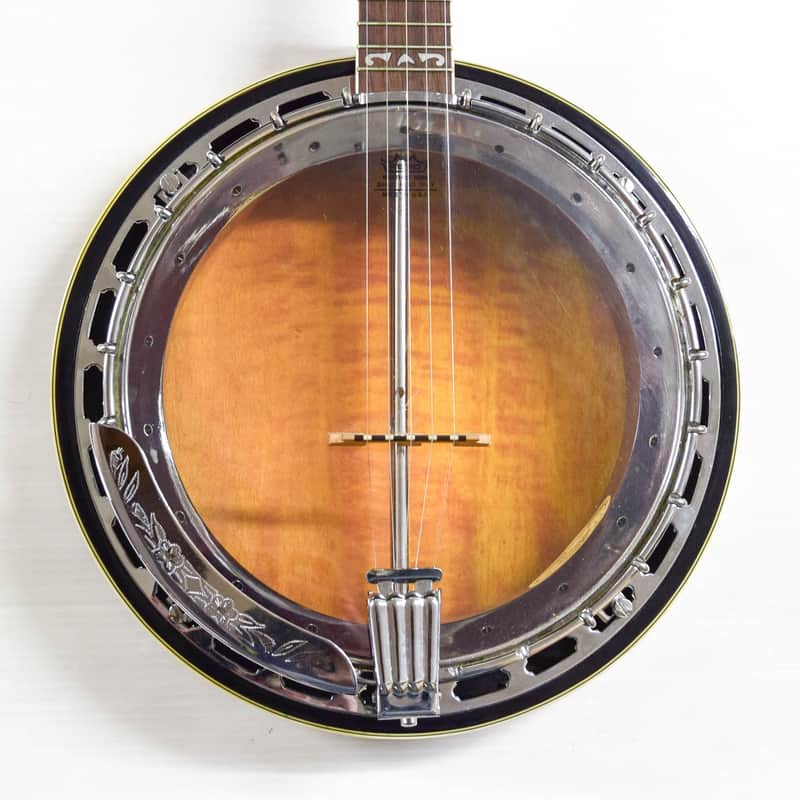 Washburn B-16