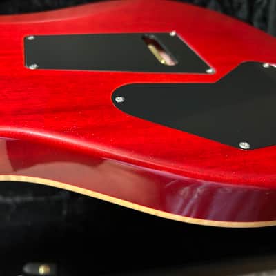 PRS DGT David Grissom Tremolo Signature 2008 - Present - Cherry Sunburst Bild 17
