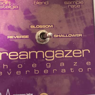 Pedal partners/manecolabs Dreamgazer 2024 - Purple image 3