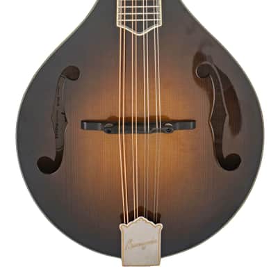 Bourgeois M5-A SB Mandolin #M2512108 image 1