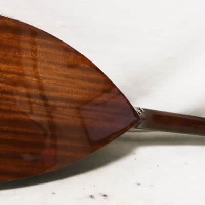 Infinity M-3 North African Mondol Acoustic Instrument Mandol Mandole image 5