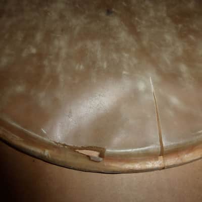 3x Set 12" , 13" calf drum head - Slingerland image 11