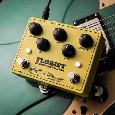 Benson Amps / Non-Human Audio Florist Dynamic Modulator image 7
