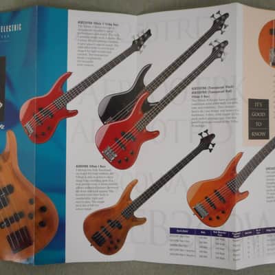 Alvarez Villian Bass Brochure 1995 image 3