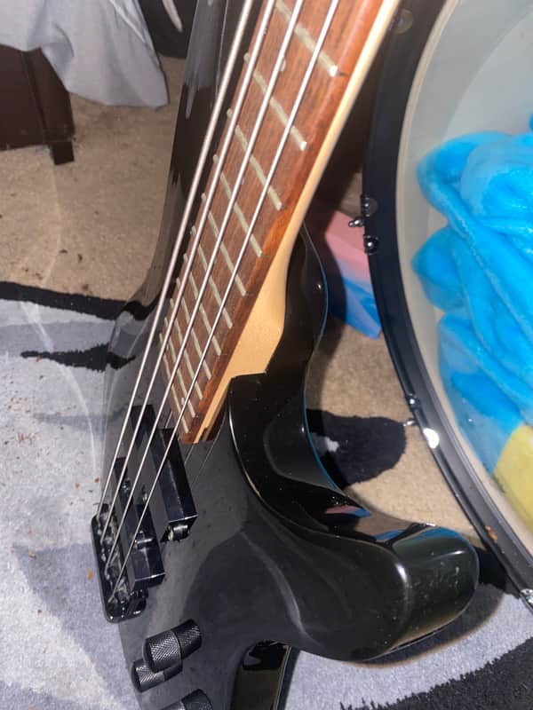 Laguna Active Bass 2000s Black / Ebony image 1