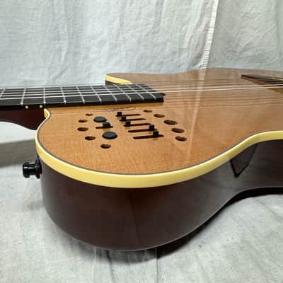 Godin Multiac Grand Concert SA Nylon String Classical Guitar with Case 2012 image 19