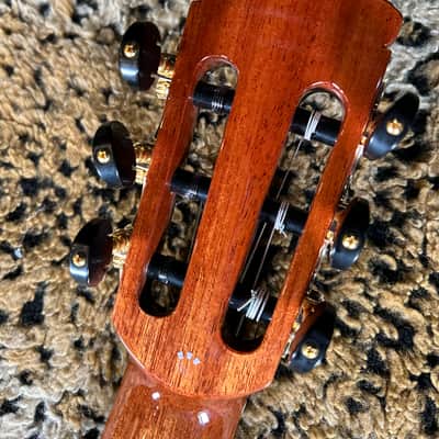 Cordoba C10 CD Cedar Classical Guitar Natural 2025 image 17