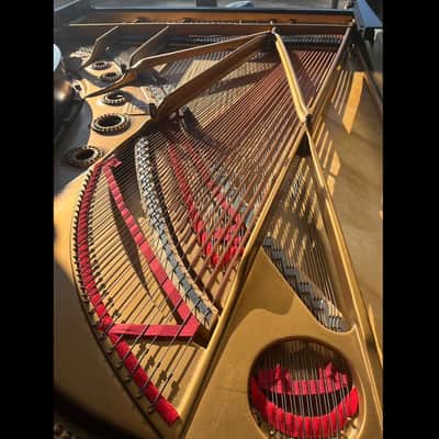 1950 Steinway & Sons Model B - 6'11" Grand Piano Exceptional Value image 8