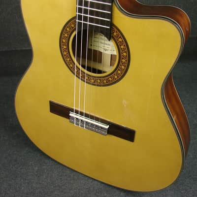 Salvador Ibanez GA5TCE-14-01 Thinline Classical Acoustic/Electric Guitar image 5