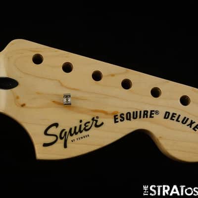 Fender Squier Paranormal Esquire Deluxe NECK, image 1
