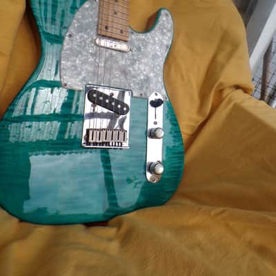 VZ Custom Guitars 24-Fret T-Style w/new tweed case image 8