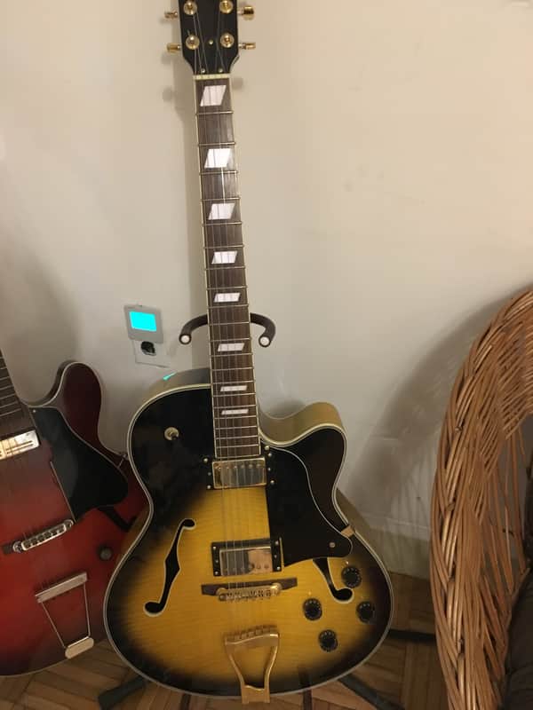 Johnson Hollowbody Electric Guitar 2000 Light Sunburst image 1